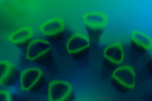Infectious Disease Assays Image