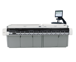 Immagine ci16200