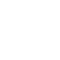 Light Bulb Icon