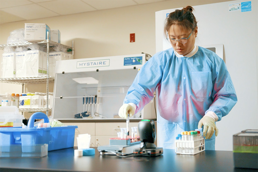 Lab personnel with assays