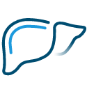 Liver image