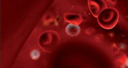 Imagen de hematología