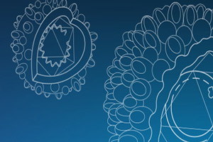 Hepatitis learning guide image