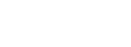 AlinIQ DHS logo