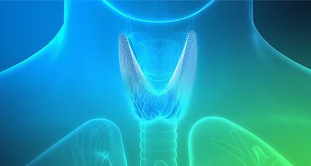 изображение щитовидной железы