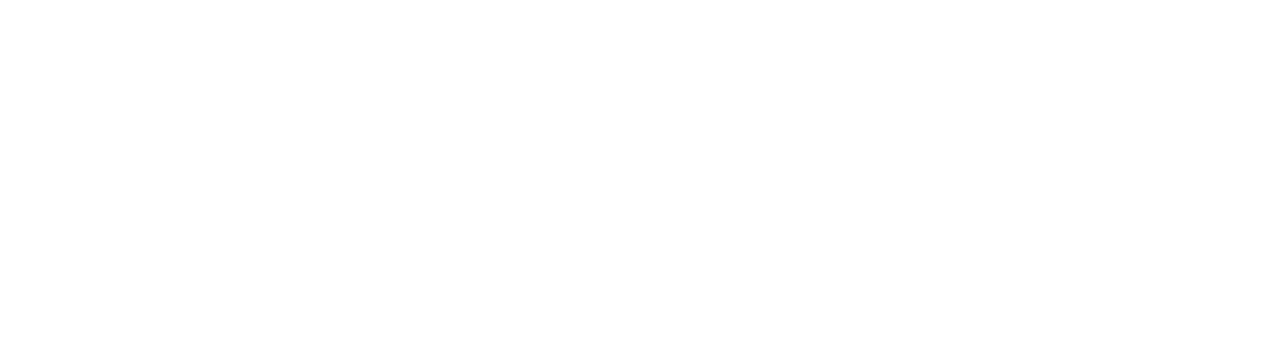 логотип alinity
