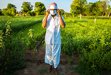 Man in field - Egypt's Hepatitis Burden