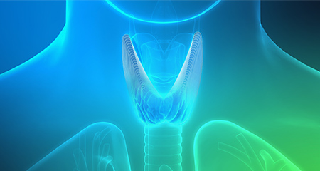 Thyroid image